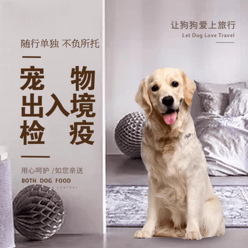 奉贤区宠物托运到哥伦比亚猫狗宠物入境规定和