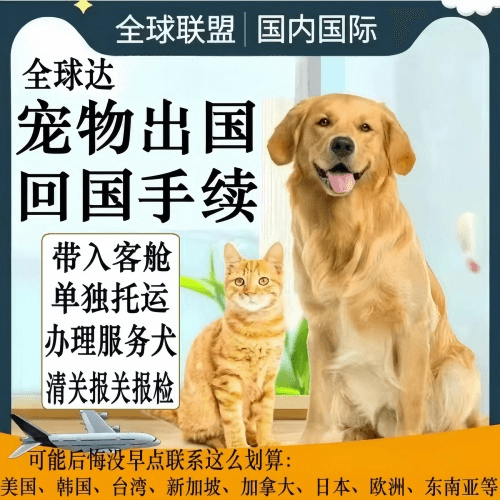 奉贤区宠物托运到柬埔寨宠物入境规定和要求