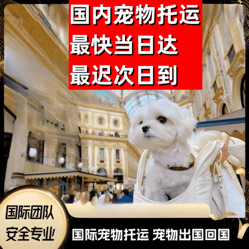 奉贤区到澳大利亚（澳洲）宠物入境规定和要求